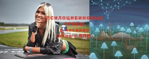 прущая мука Богородицк