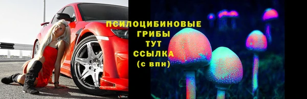 дживик Богородск
