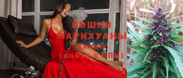 дживик Богородск