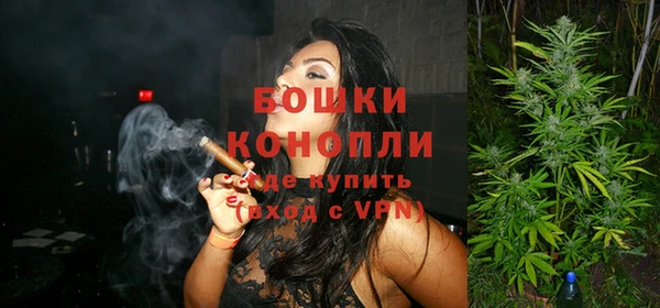 дживик Богородск