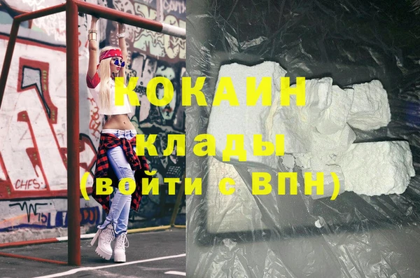 дживик Богородск