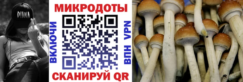 ссылка на мегу зеркало  Межгорье  нарко площадка какой сайт  Псилоцибиновые грибы Psilocybine cubensis 